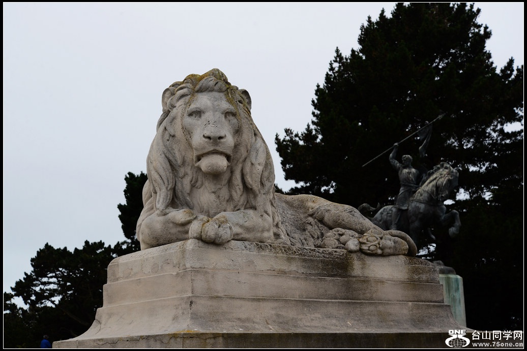 DSC_6769.jpg