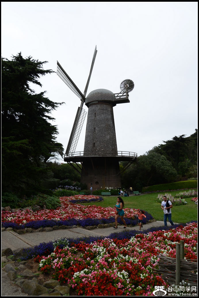 DSC_6832.jpg