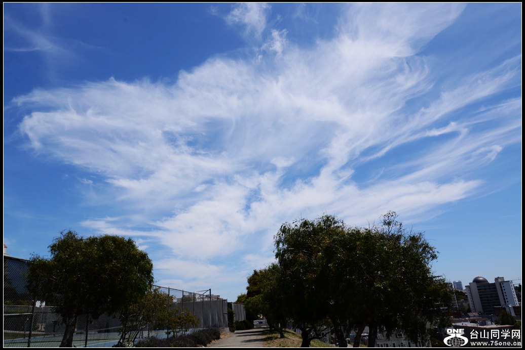 DSC_6570.jpg