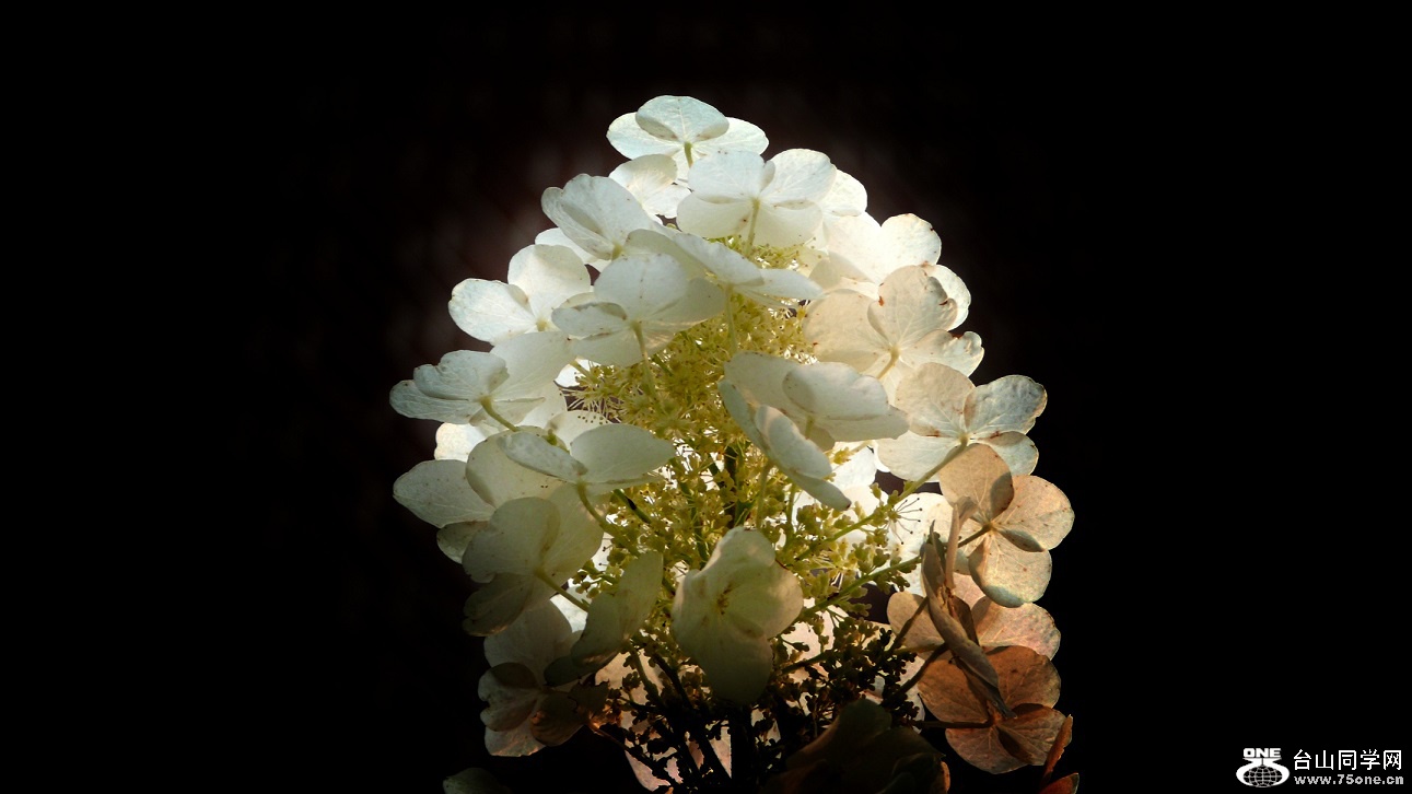 l2360761_conew1.jpg