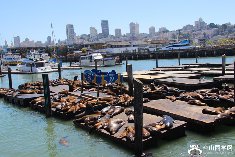 ���� 026_����.jpg