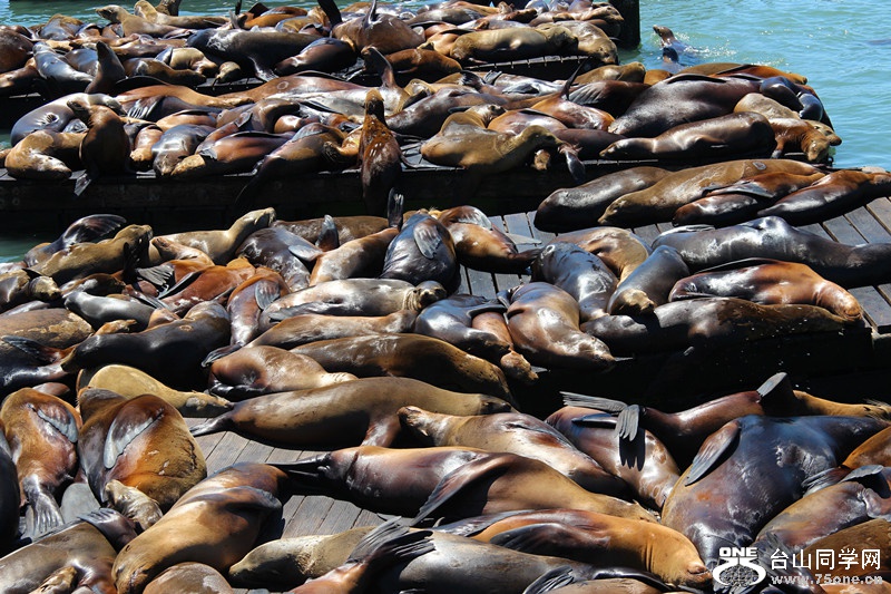 ���� 028_����.jpg