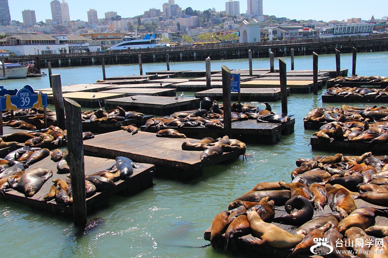 ���� 027_����.jpg