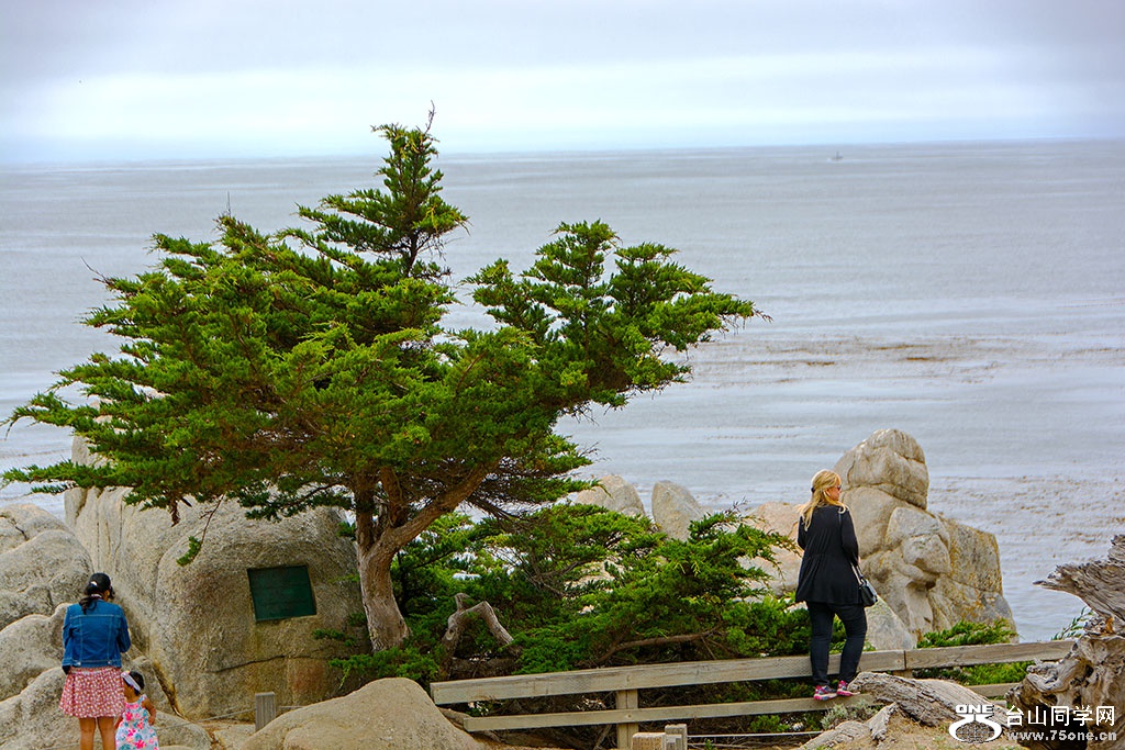 DSC_0459.jpg
