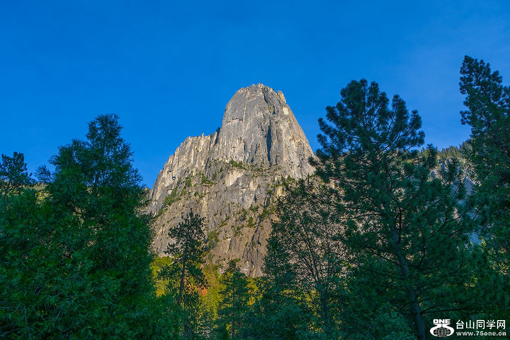 DSC_3652.jpg