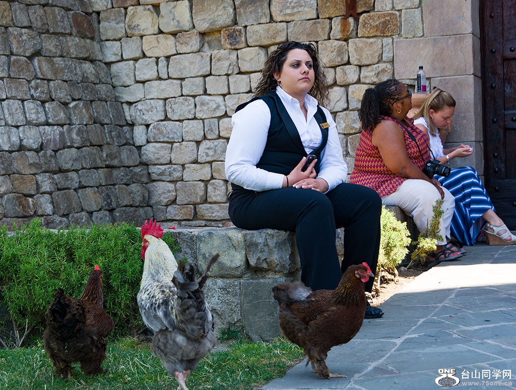DSC_3213-2.jpg