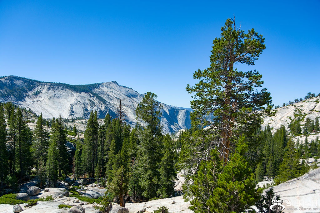 DSC_3305.jpg