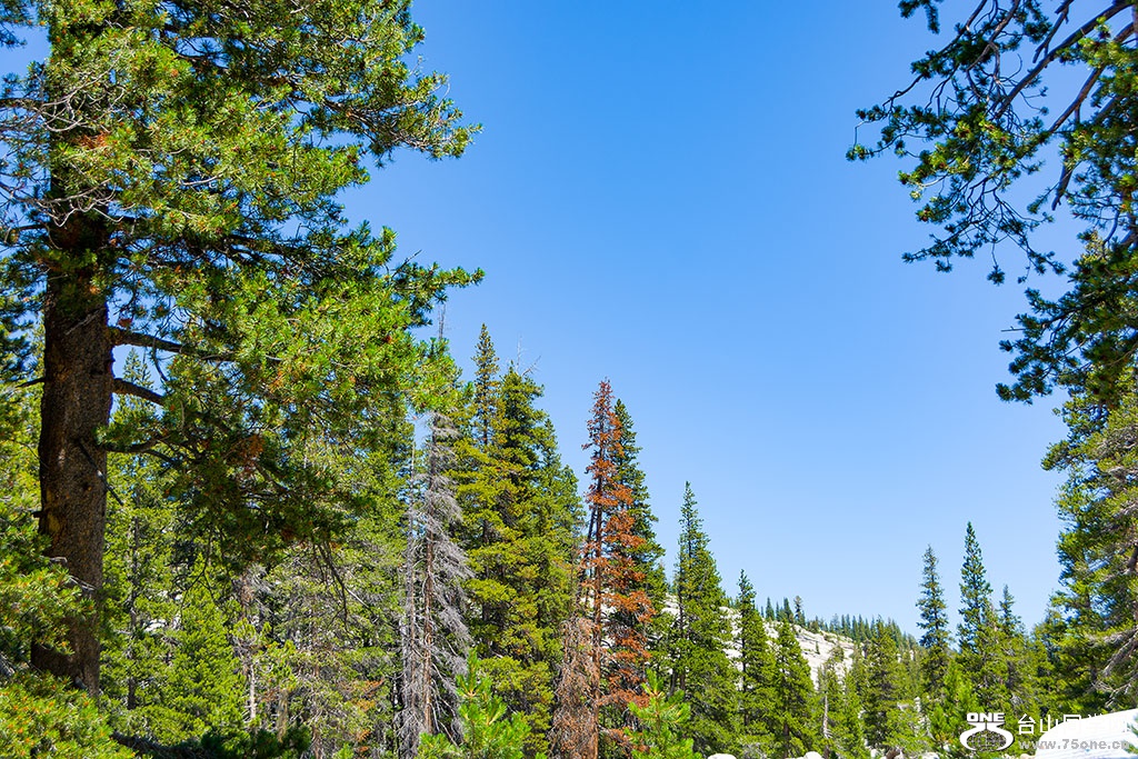DSC_3443.jpg