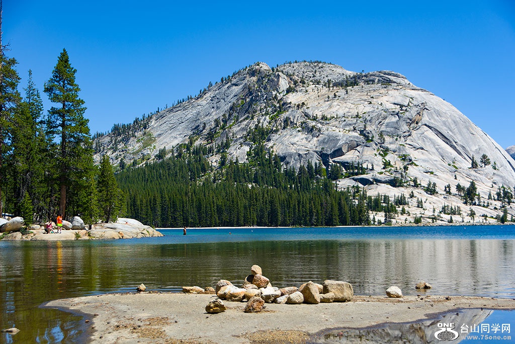 DSC_3383.jpg