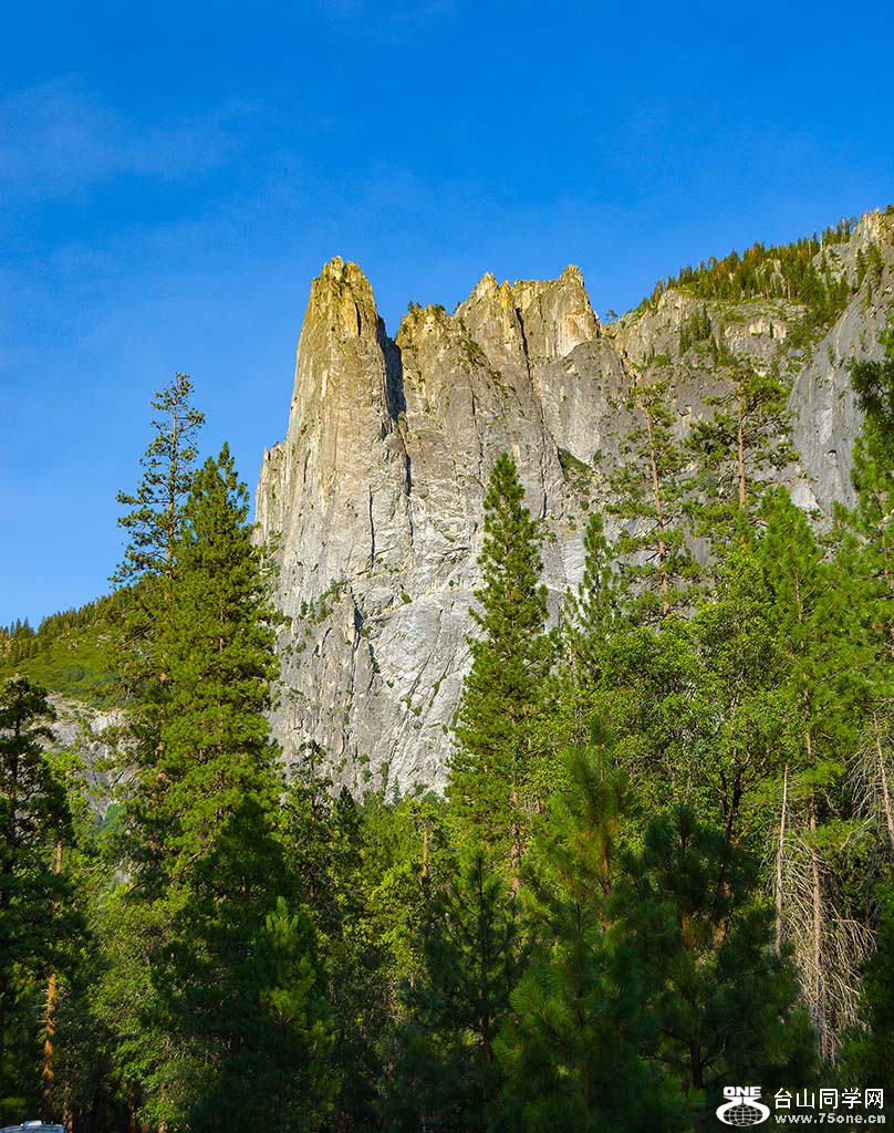 DSC_3645.jpg