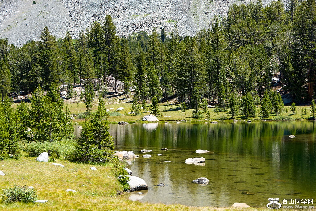 DSC_3449.jpg