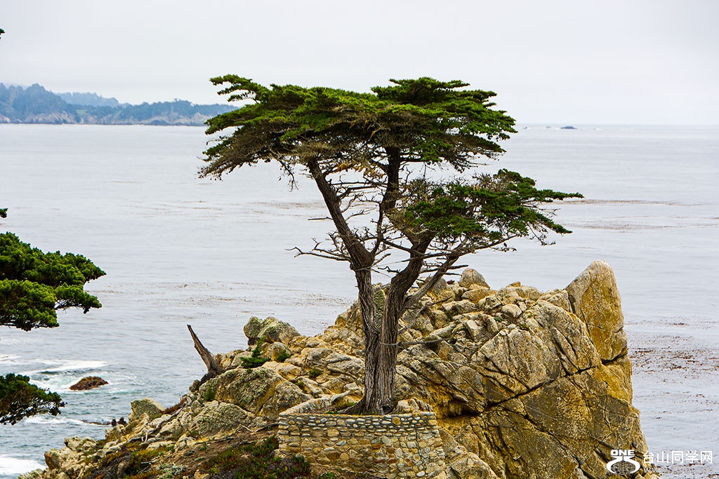 DSC_0483.jpg