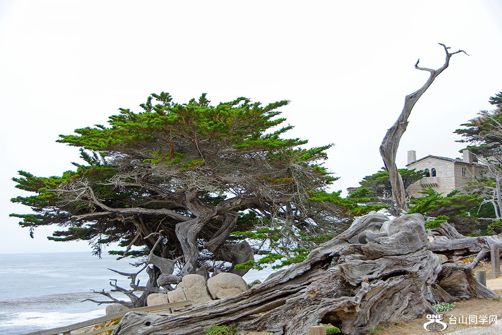 DSC_0439.jpg