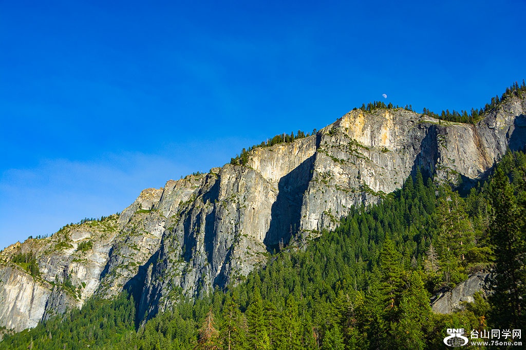 DSC_3627.jpg