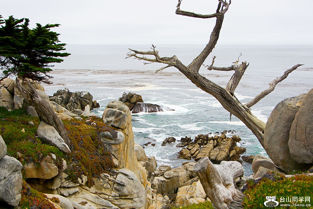 DSC_0473.jpg