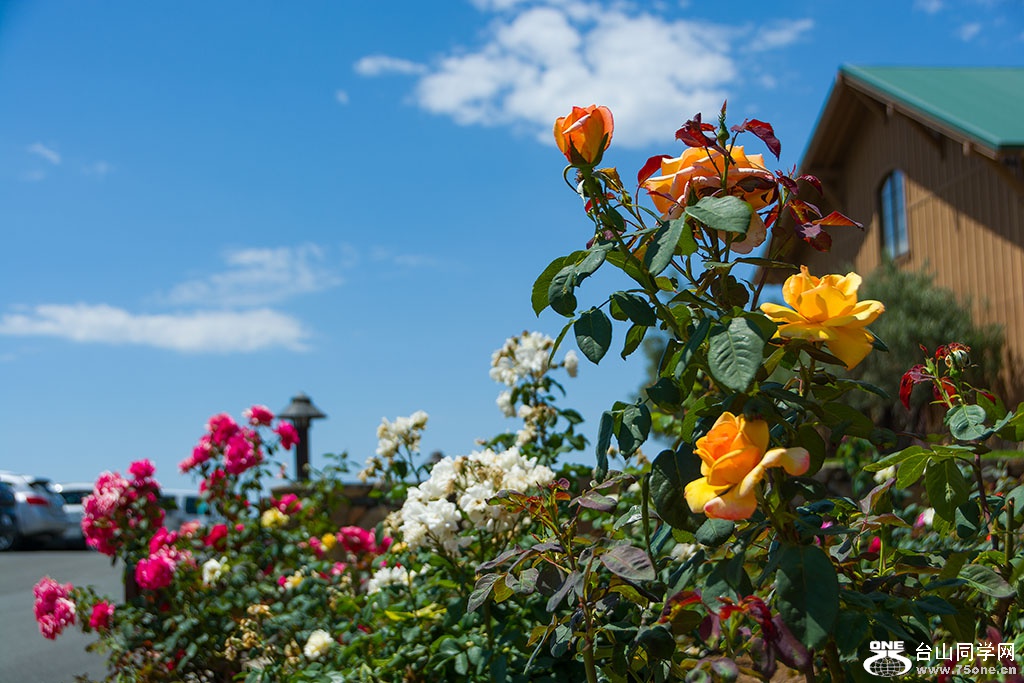 DSC_3201.jpg