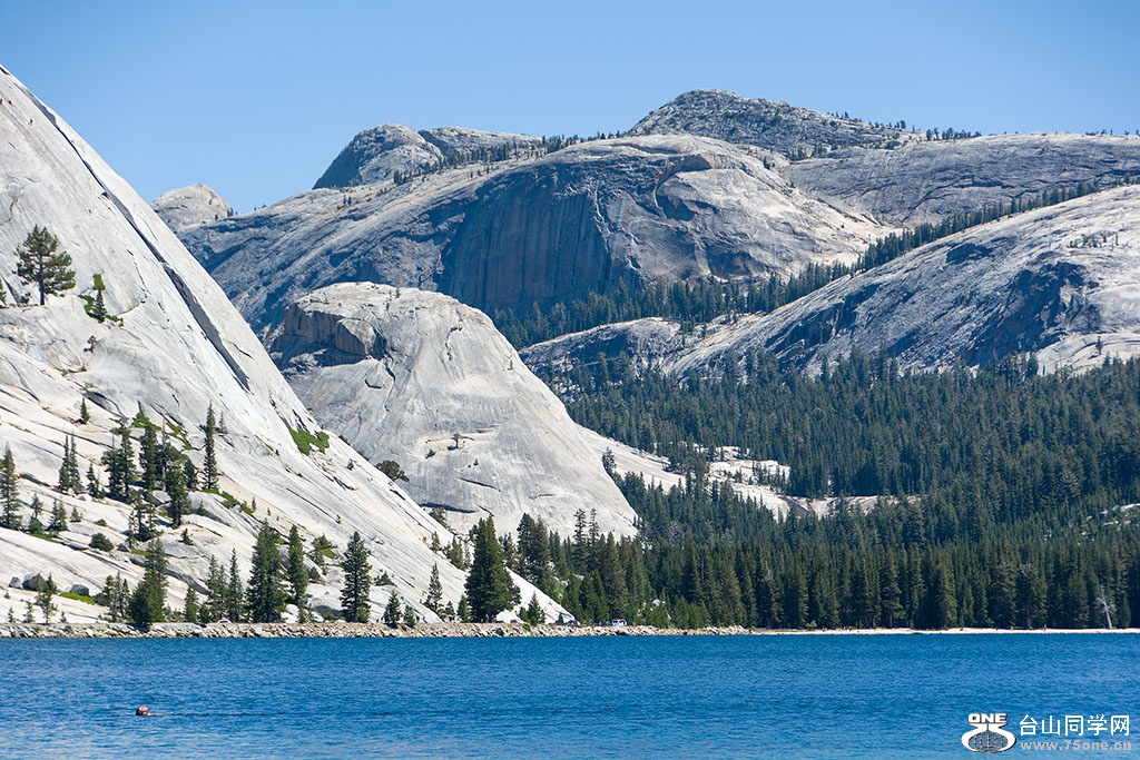 DSC_3408.jpg