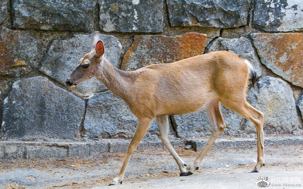 DSC_3674.jpg