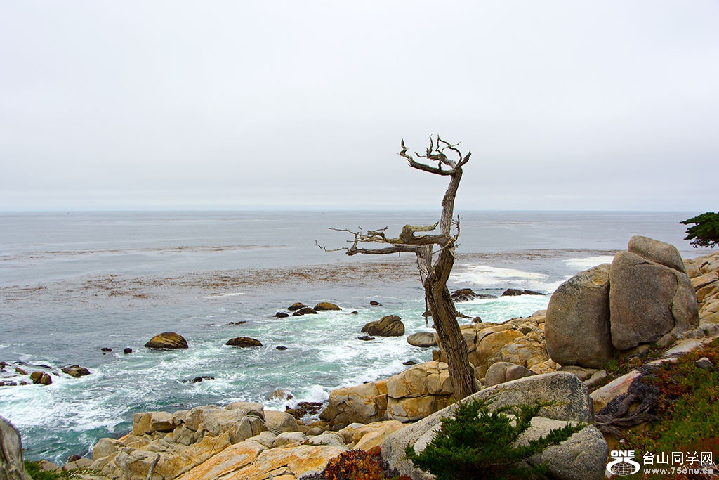DSC_0460.jpg