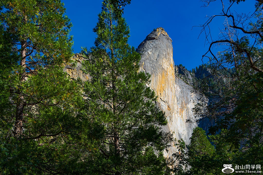 DSC_3618.jpg