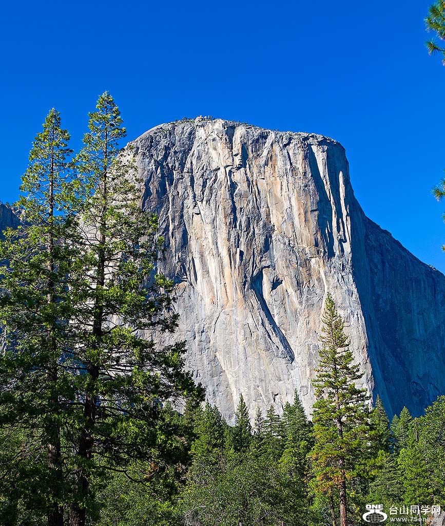 DSC_3613.jpg