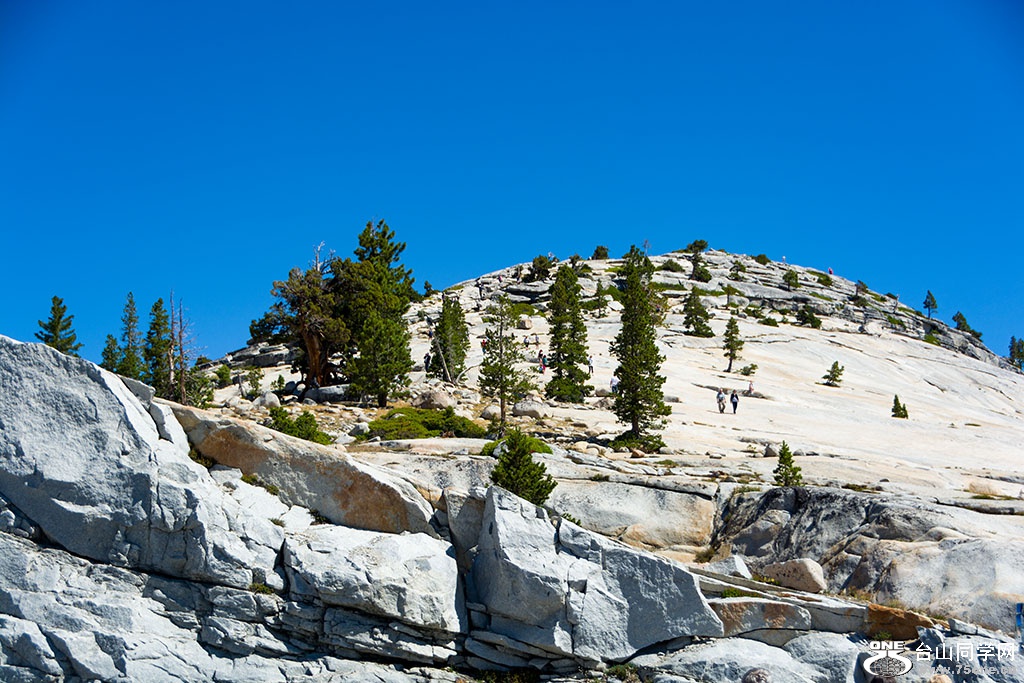 DSC_3308.jpg