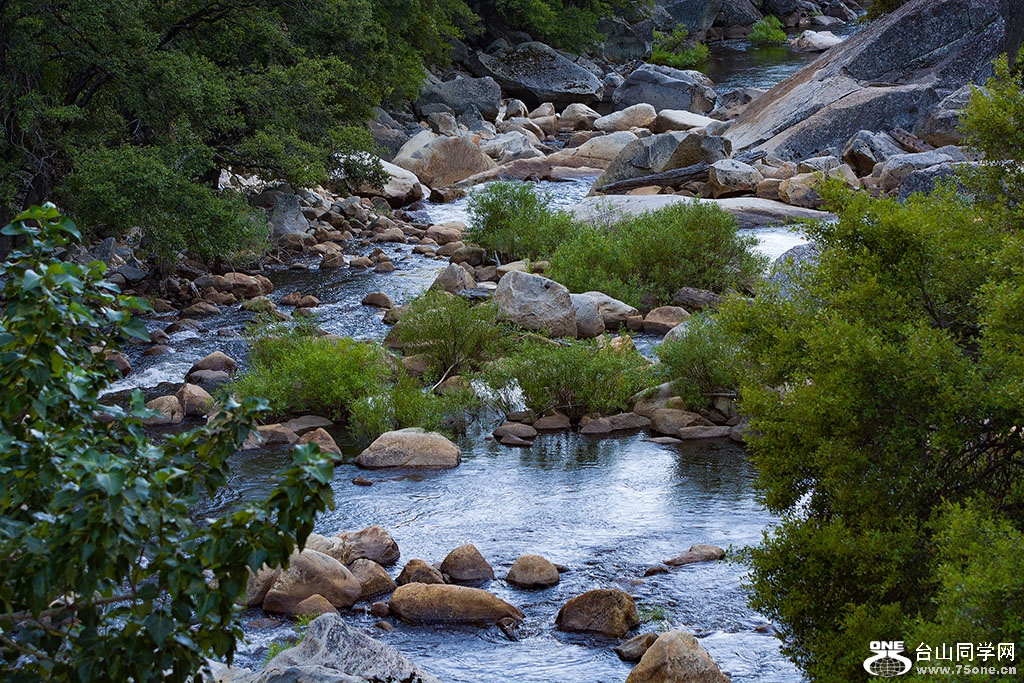 DSC_3606.jpg