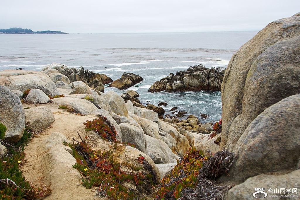 DSC_0449.jpg