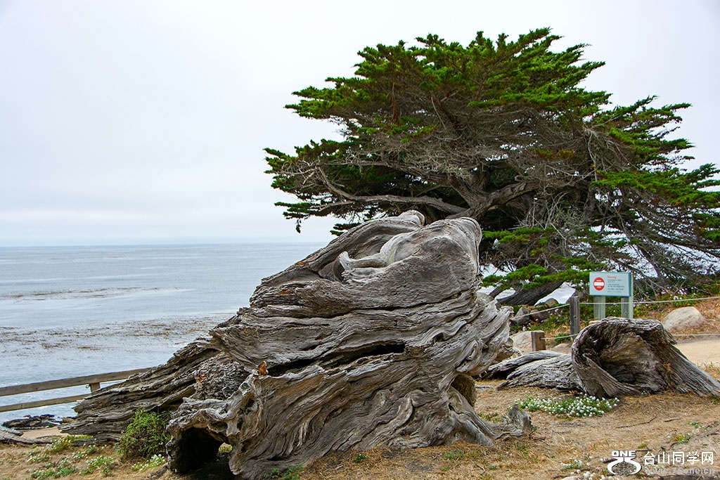 DSC_0441.jpg
