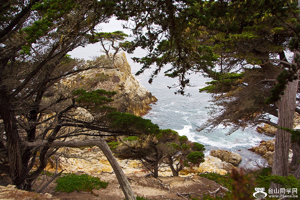 DSC_0490.jpg