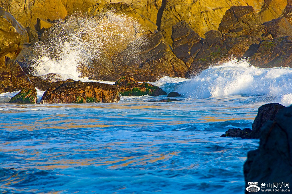 DSC_0630.jpg