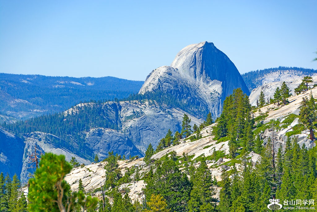 DSC_3311.jpg