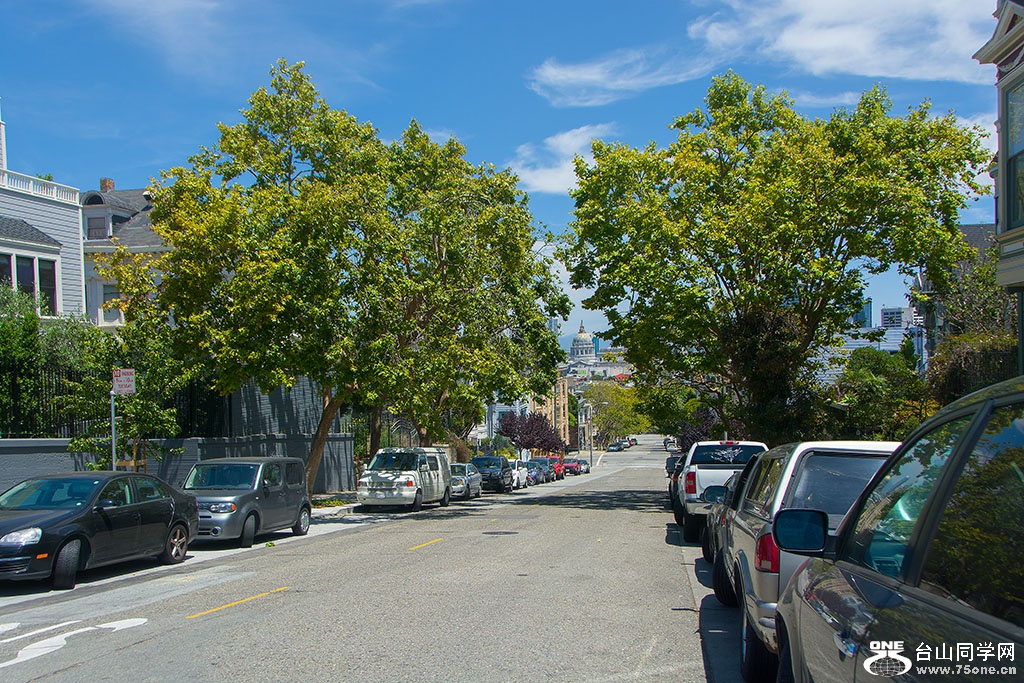 DSC_2336.jpg