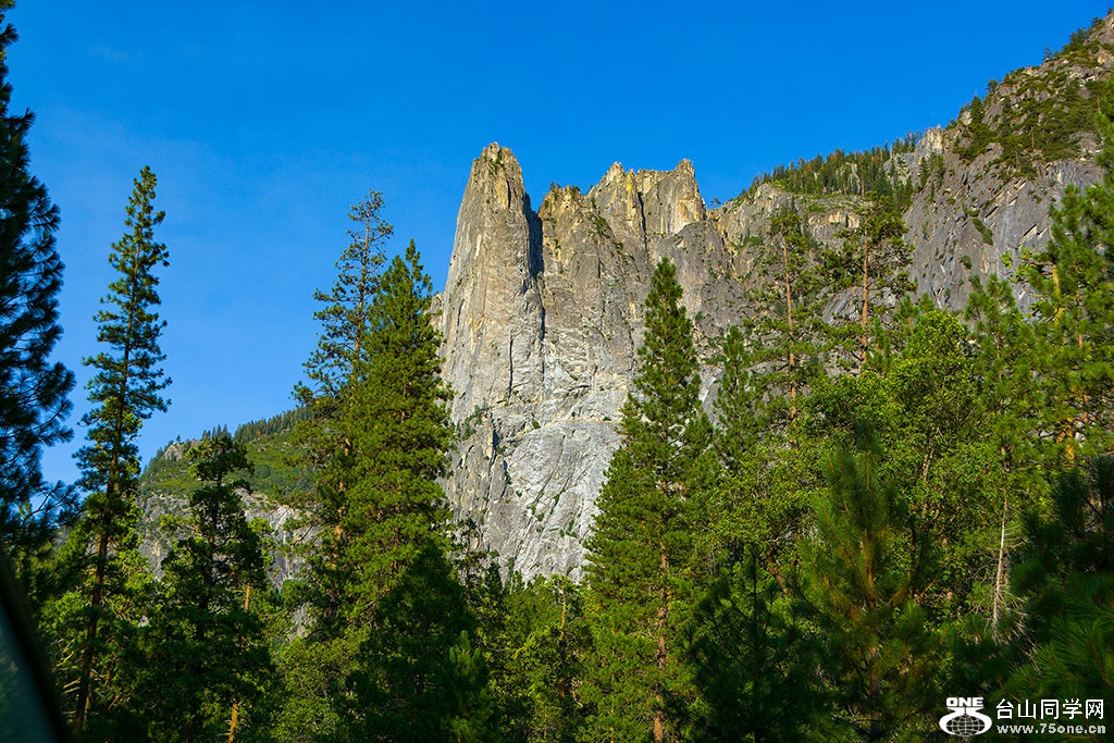 DSC_3646.jpg