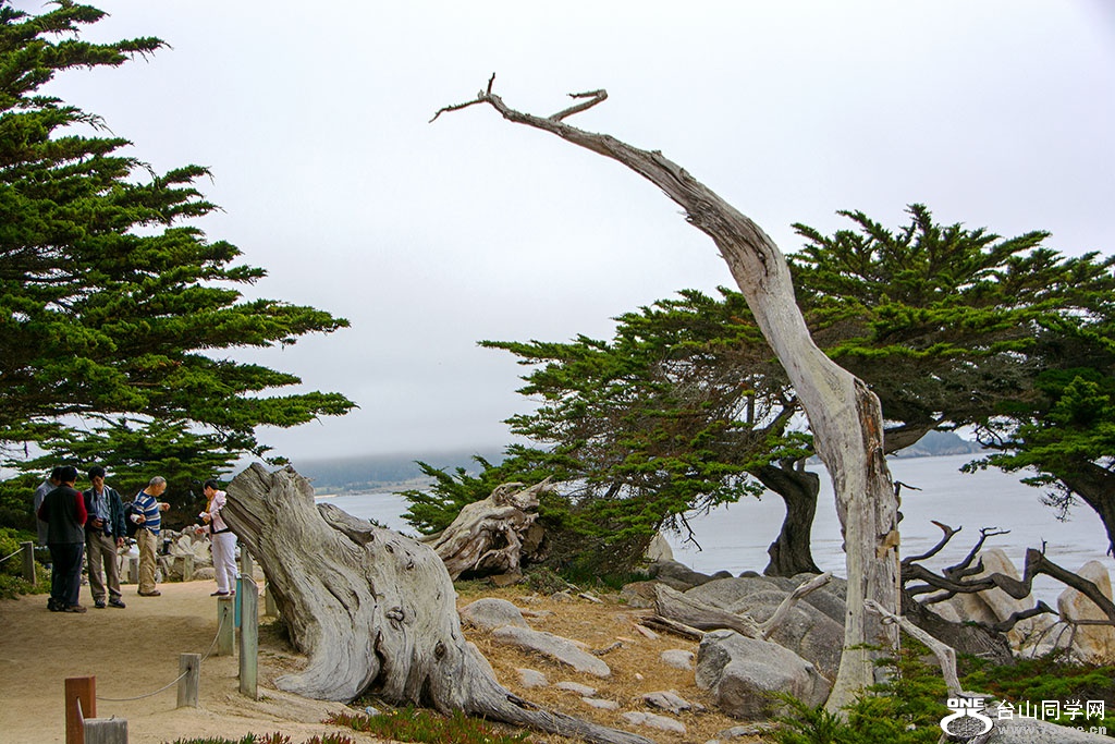 DSC_0475.jpg
