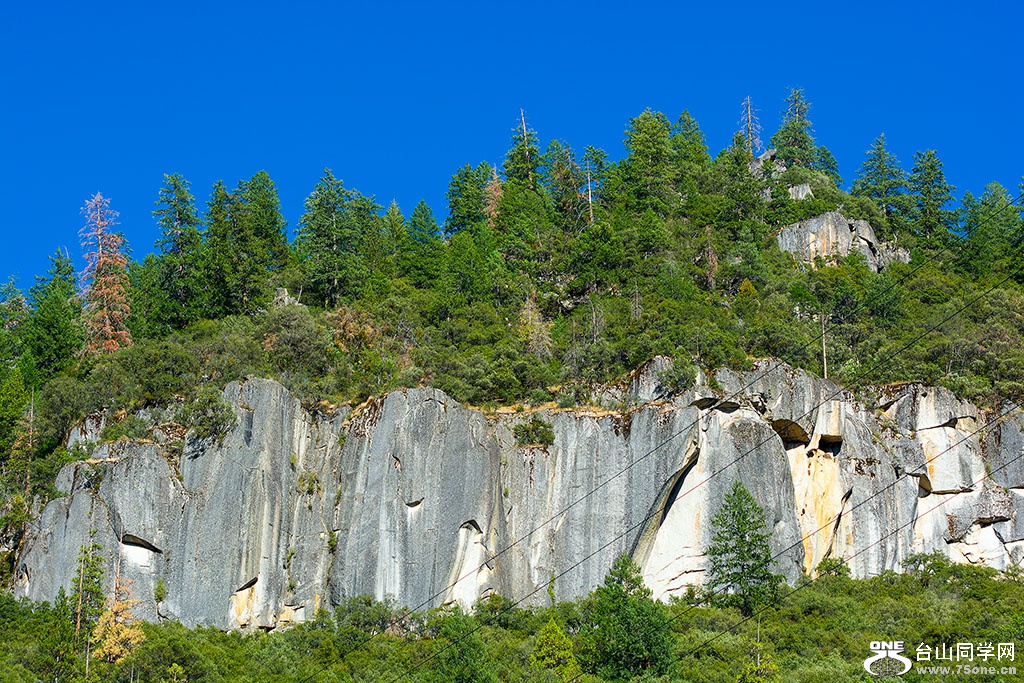 DSC_3609.jpg