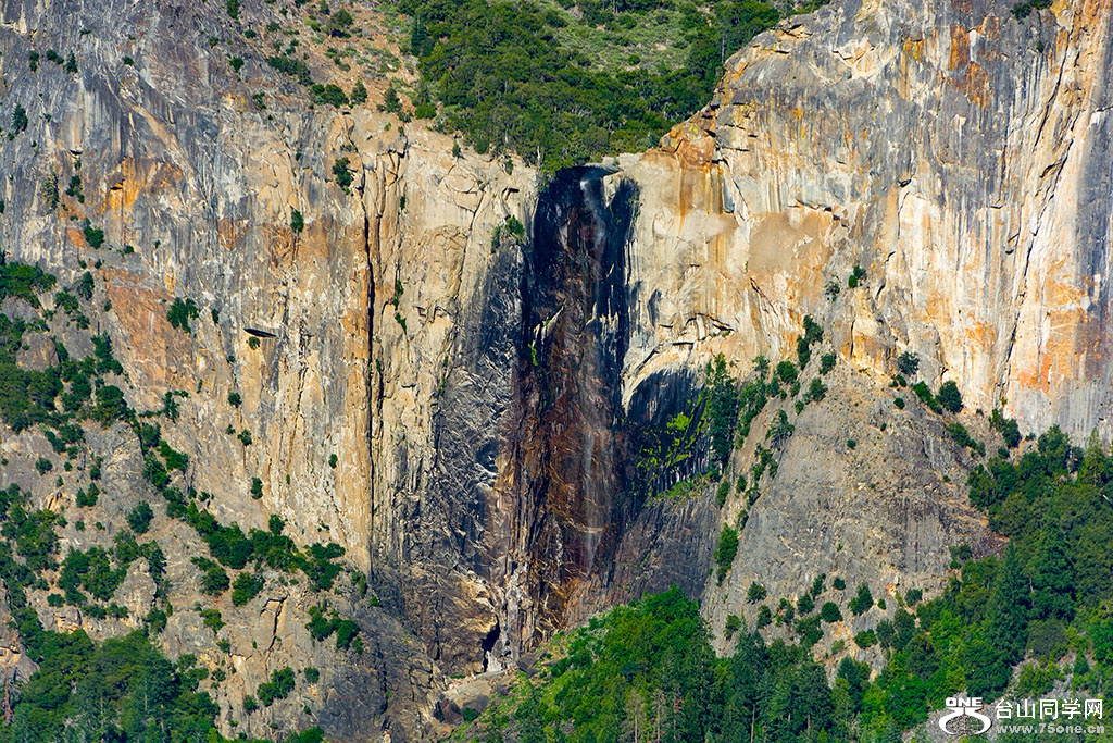 DSC_3631.jpg