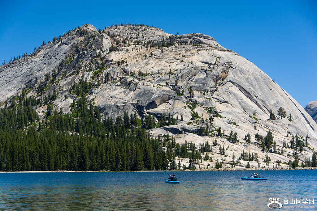DSC_3439.jpg