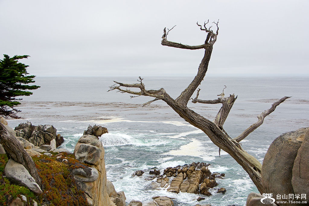 DSC_0469.jpg
