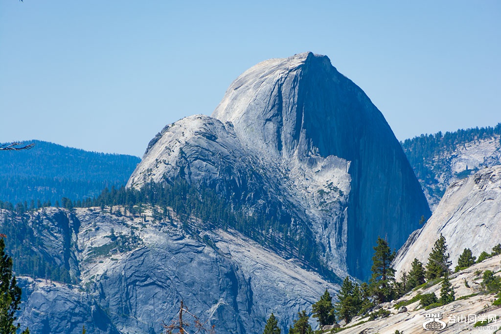 DSC_3339.jpg