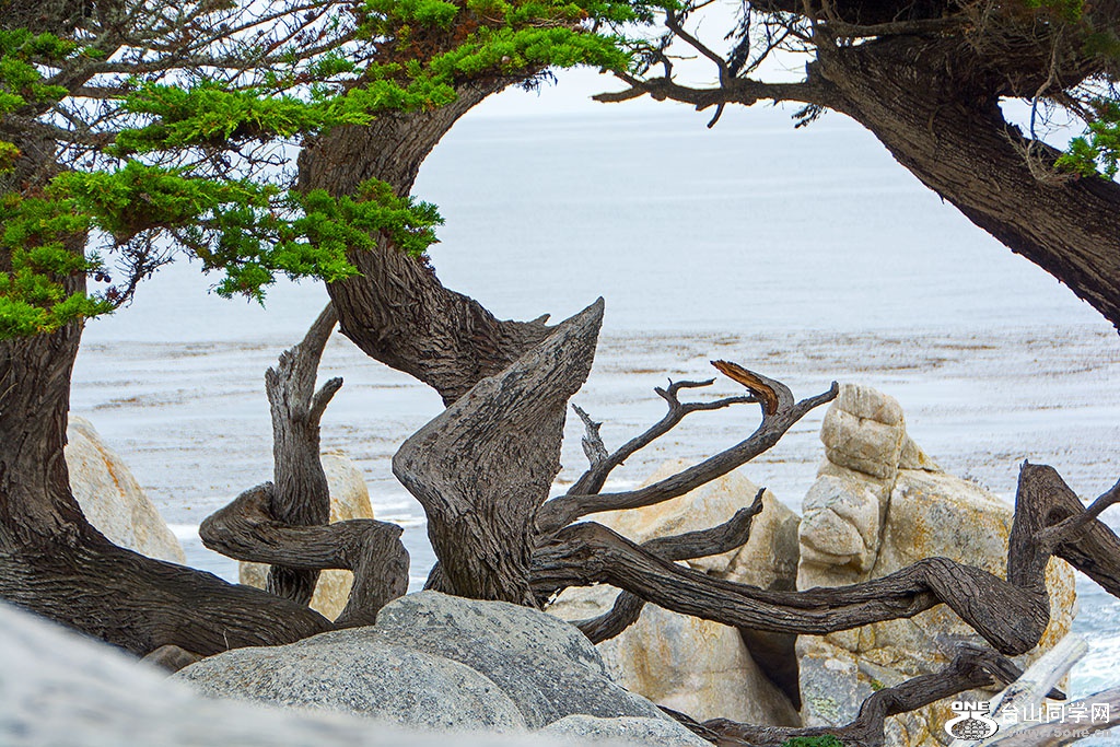 DSC_0463.jpg