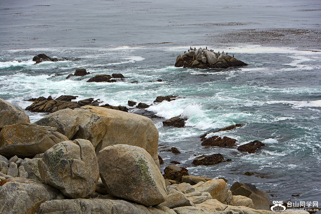 DSC_0430.jpg
