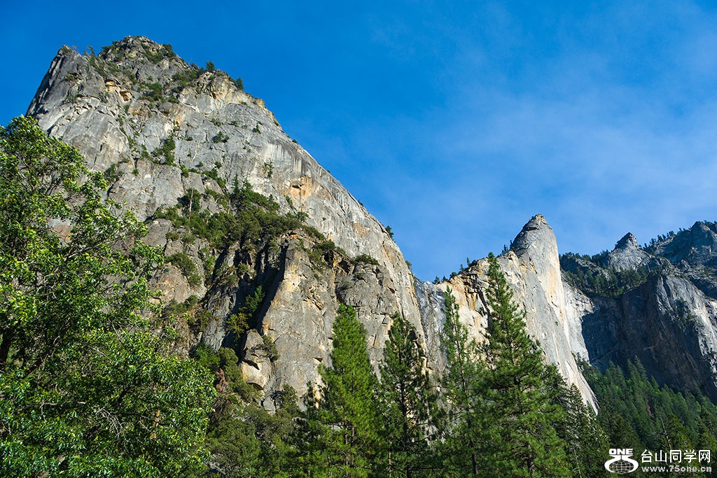 DSC_3638.jpg