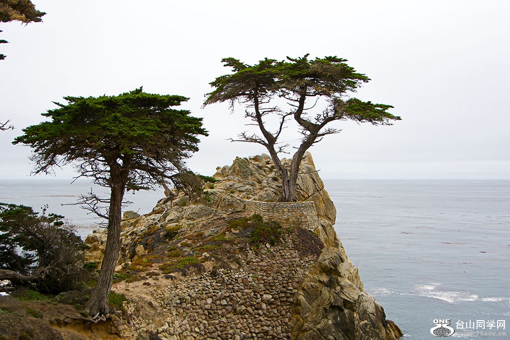 DSC_0496-3.jpg