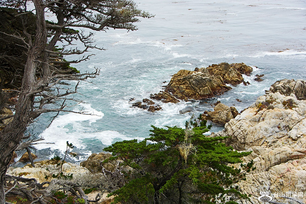 DSC_0487.jpg