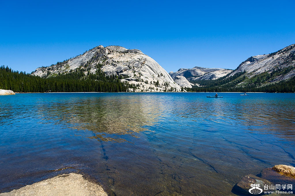 DSC_3436.jpg