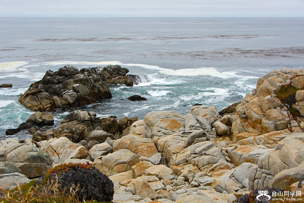 DSC_0433.jpg