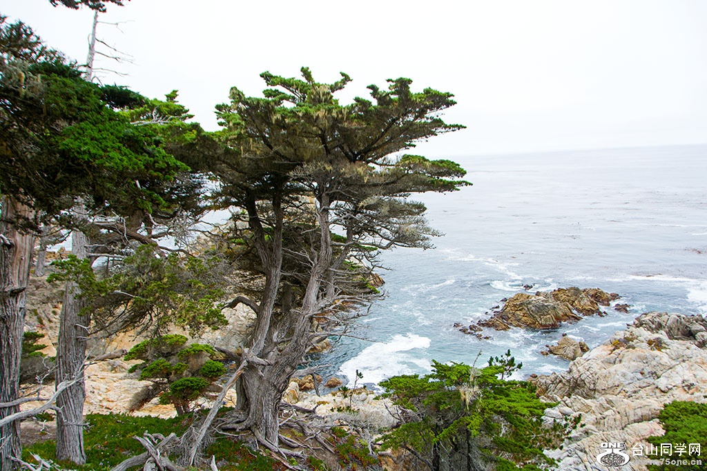 DSC_0486.jpg