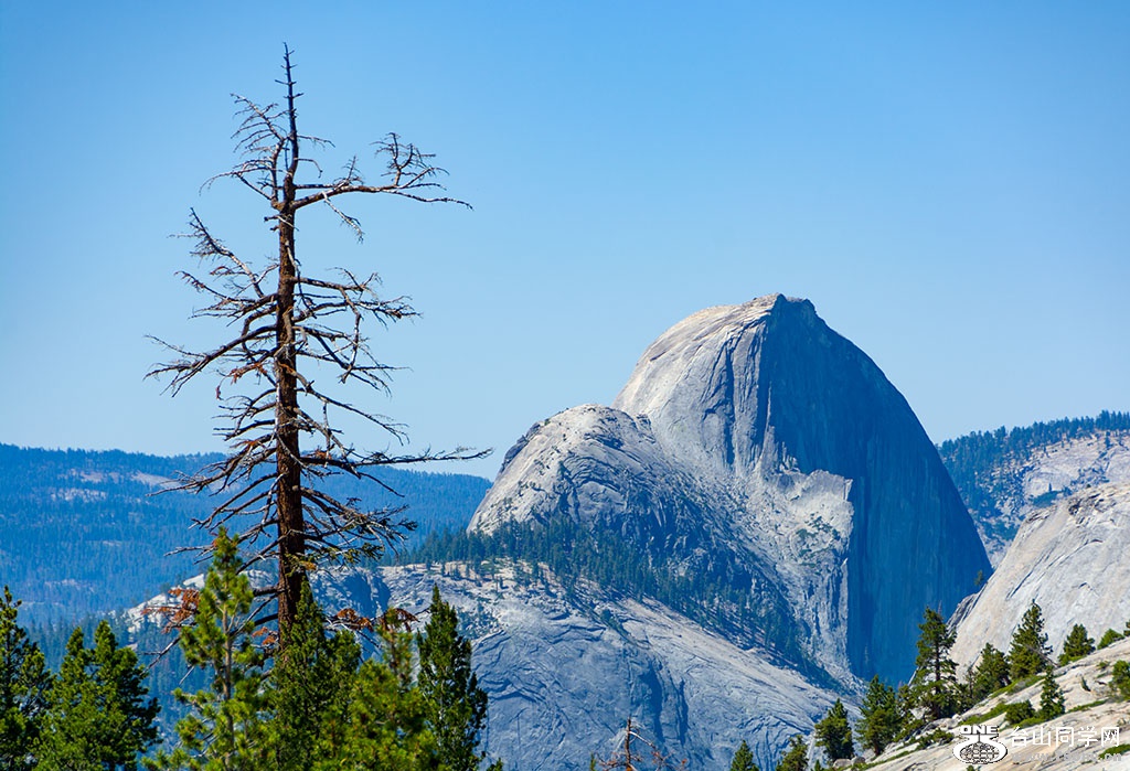 DSC_3336.jpg