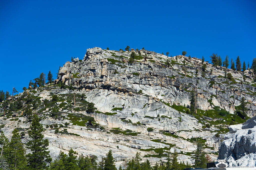DSC_3306.jpg